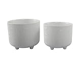 Photo Gallery flora bunda hiero - set di 2 fioriere in ceramica, 15,2 cm e 12,1 cm, colore: bianco opaco Photo Gallery flora bunda hiero - set di 2 fioriere in ceramica, 15,2 cm e 12,1 cm, colore: bianco opaco