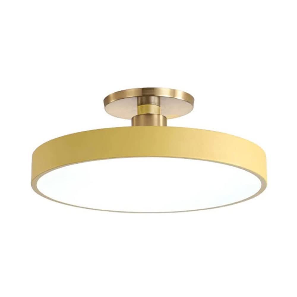 JISHUBO Round Wrought Iron Ceiling Lamp, LED Flush Mount Ceiling Light, Three-color Dimming Ceiling Light, Surface Mount Ceiling Light Fixture, Acrylic Lampshade Flat Lamp