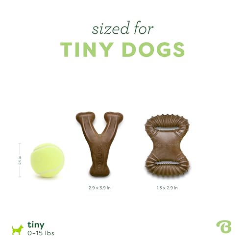 Image of Benebone Tiny 2-Pack Dog Chew Toys, Made in USA, Real Bacon Flavor
