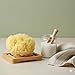 Sea Sponge for Bathing 5 inch-Softly Rough but Not Skin Irritating – Yellow, Natural Bath Sponge-Renewable Resource – Natural Sponge for Body and Shower-Lathers & Washes Really Well