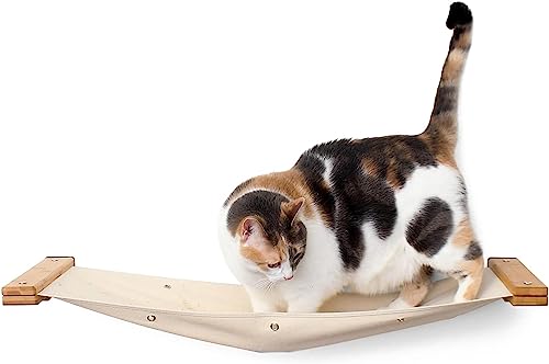 CatastrophiCreations Cat Hammock Shelf