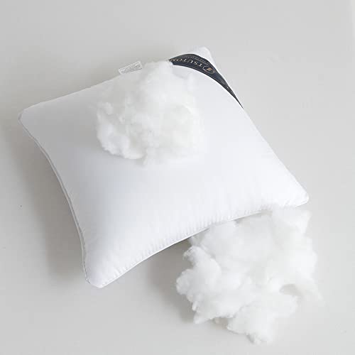 Tsutomi 12X12 Throw Pillow Insert,Pillow Insert 12X12 Set Of 2 Down Alternative Polyester Square Decorative Pillow Inserts White Throw Pillows For Couch Sofa Bed #TOP2
