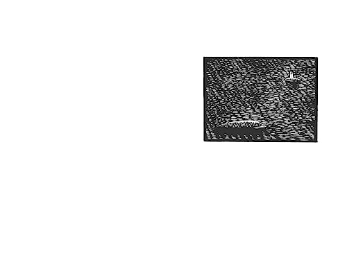 Wild: Tales from Early Medieval Britain - Image 6