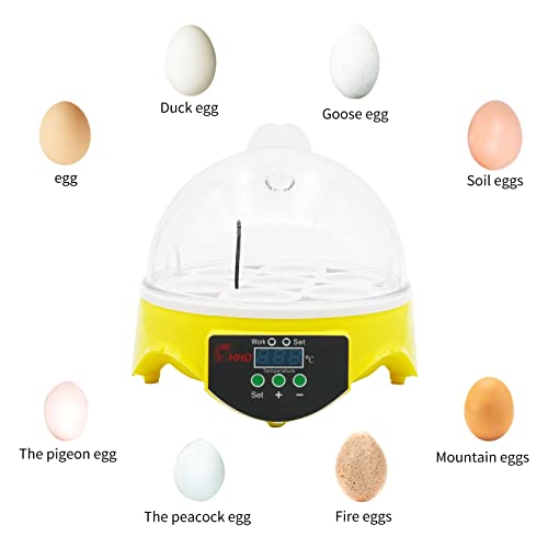 MOGOULUA Mini Ei Inkubator Temperatur Automatische Steuerung Inkubator für Eier mit LED Digital Screen Geflügel… – Bild 6