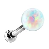 Ohrpiercings, Nasenpiercings, Nasenringe, Nasenstecker, Lippenpiercings, Intimpiercings, Nippelpiercings , Klemmringe , BCR Ringe , Piercingschmuck, Modeschmuck und Schmuck für Damen oder Herren aus 316 L Chirurgenstahl, Edelstahl, Titan, Stahl, 925 Silber oder Gold Vergoldet findest du im unserem Stylefaktor Schaufenster