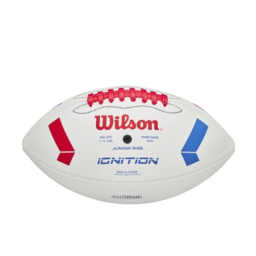 Image of WILSON NFL Recreational Footballs