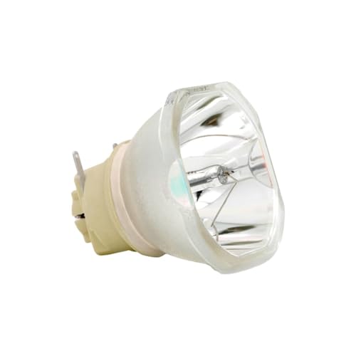 Lampe NP47LP réparer image terne projecteur MH4856 MG4136