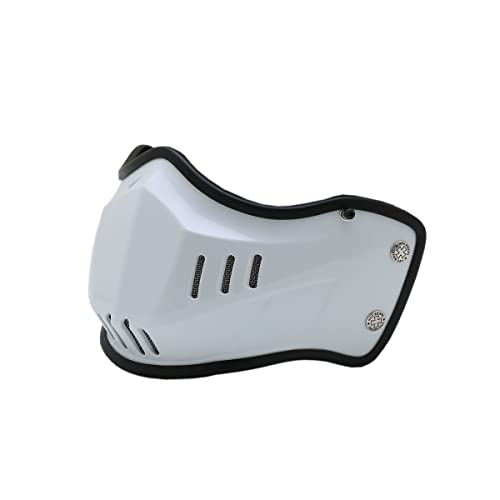 Amazon.co.jp: ネオライダース (NEORIDERS) ES-3/FX3専用マスク パール