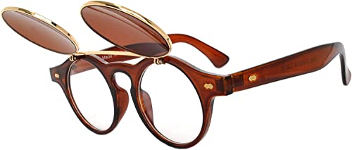 Image of OWL Steampunk Vintage Retro Round Circle Gothic Hippie Colored Plastic Frame Sunglasses Colored Lens