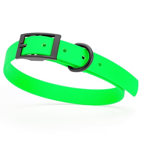 Image of Dogline Biothane Waterproof Dog Collar Strong Coated Nylon Webbing with Black Hardware Odor- Proof for Easy Care Easy to Clean High Performance Fits Small Medium or Large Dogs, Tropical Green