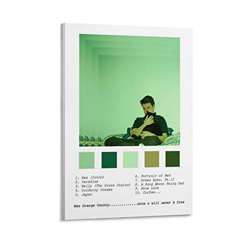 Rex Orange County impression sur toile 40x60 cm pour decoration de chambre