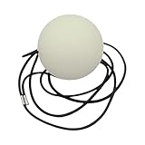 PciDinFo Équipement de Rebond de Balle D'entraînement pour Le Hockey de Rue avec Ligne éla...