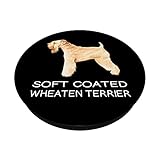 Zoom IMG-1 papillon pazzo amante dei cani Zoom IMG-1 papillon pazzo amante dei cani