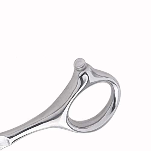 Dog Grooming Scissors,Pet Grooming Scissors,Straight Shears great for Groomers and Home Grooming Dog Grooming Scissors,Pet Grooming Scissors,Straight Shears great for Groomers and Home Grooming