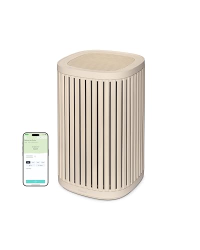 Windmill Air Purifier for Home