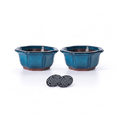Jinfa Bonsai ceramiczna miska bonsai z otworami drenażowymi | turkusowa | 2 doniczki + 2 kratki drenażowe