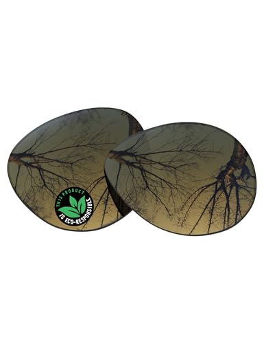 Verres de rechange Ray-Ban Meta Skyler pour revivre chaque instant avec clarté