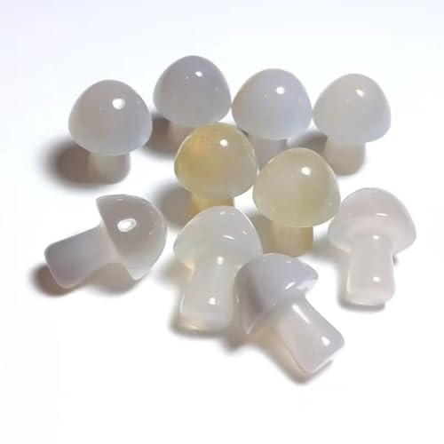 Améthyste et agates en mini pierres naturelles de champignon, coffret cadeau