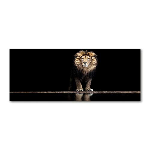 Splashback guard 125x50cm fond de hotte verre pour protéger et décorer la cuisine