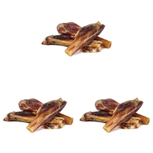 ARQUIVET Serrano Schinkenknochen, 3 Stück, 100% natürlich, für Hunde, Kauknochen, Leckereien, Belohnungen - Natürlicher Beißring für Hunde (Packung mit 3)