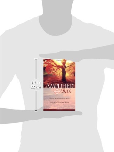 Amplified Bible #TOP1