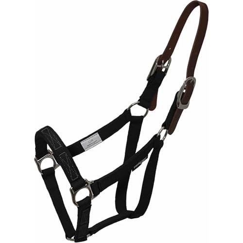 Thinline Turnout Halter for Use with Grazing Muzzle | Horse Equine Safe Comfortable Adjustable Breakaway Halter, Horse