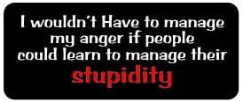 (3) I Wouldn't Have to Manage My Anger If People Could Learn to Manage Their Stupidity Funny Hard Hat/Helmet Stickers