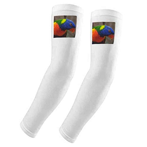 Manchons de gants animal terrestre protection bras UV été soleil
