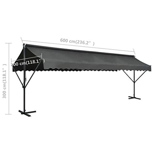 Festnight Store Banne Autoportant Double 4x3 m,Structure autoportante Double Pente à Manivelle pour Terrasse et Jardin-Anthracite-6 x 3 m – vue 8