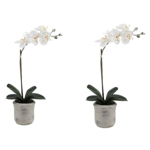 Image of CG Hunter Faux Phale White Orchid Plant, Set-of-2 Premium Artificial Indoor Flower Display Stands 22 inch, Beautiful Sculptural Blooms that Lasts Forever, Planter Pot Included