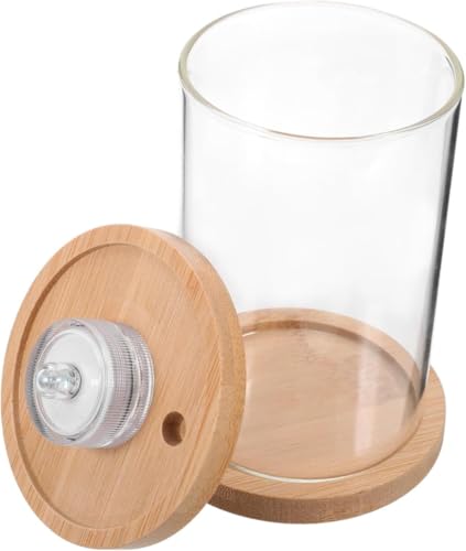 uuClubガラスバケツ水槽 蓋 水槽フィルター ストレーナーフリ 付きピクルスジャー プール ライト 水槽キット 水族館 スターターアクアリウムキット テラリウムキット ガラスの水槽 木