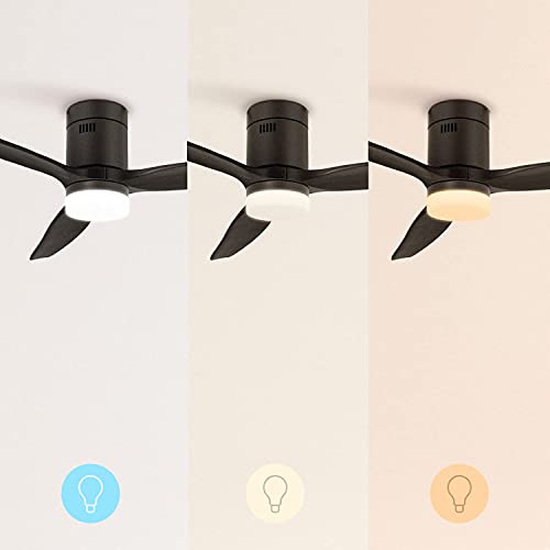 CREATE/WINDCALM DC/Plafondventilator met licht DC-motor zwart/Stil, LED-licht, timer - Image 4