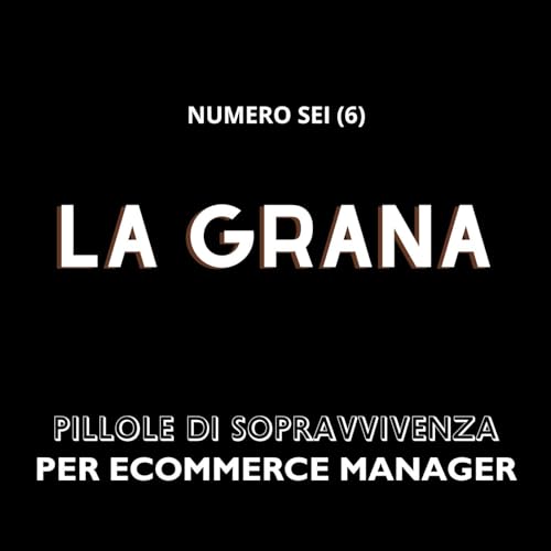 La grana episodio numero 6 - Impostare un budget per sviluppare un sito con Shopify o Shopify Plus