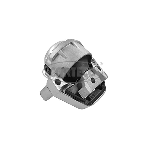 CORTECO 49462427 Federung, Motor MT_EM VAG : Amazon.de: Auto 