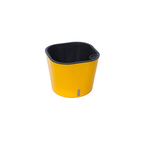 MADHULI Gardencia Cube Planter, Self Watering System Polypropylene with UV Material Flower Pot, Indoor & Outdoor Home Decoration Plant Pot for Home & Garden 6x6x5 in, Yellow (B08WPVV947) Amazon Price History, Amazon Price Tracker