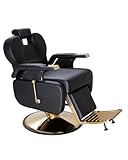 IJIALIFE Barber Salon Chair for Hair Stylist, Reclining Chairs with Heavy Duty Hydraulic Pump, Styling Chair for Barbershop Spa Salon Home Studio (Black & Gold)