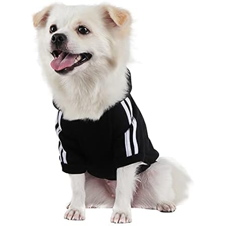 Amazon Qicheng Lys ペット服 犬の冬のパーカーの服の子犬のかわいい暖かいパーカーのコートのセーター 犬の猫のための L 黒 Qicheng Lys シャツ パーカー 通販 Amazon Qicheng Lys ペット服 犬の冬のパーカーの服の子犬のかわいい暖かいパーカーのコートのセーター 犬の猫のための L 黒 Qicheng Lys シャツ パーカー 通販