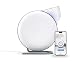 IQAir [Atem Desk Personal Air Purifier [HyperHEPA Filter] Allergies, Pets, Asthma, Pollen, Dust; Swiss Made (White)