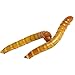 Predator Foods Bulk Live Mealworms - 500 Count (Large - ~.75