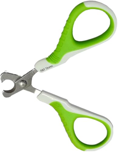 Image of R&F Stores Pet Nail Clippers for Small Animals - Professional Grooming Tool for Tiny Dog Cat Bunny Rabbit Bird Puppy Kitten Ferret - Best Cat Nail Clippers - Home Grooming Kit., Green