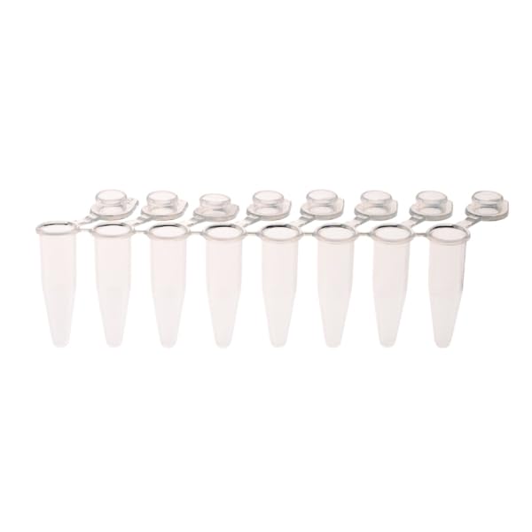 CELLTREAT 230461 PCR 8-Strip Tubes, 0.2mL, Separable, Attached Flat Caps, Clear