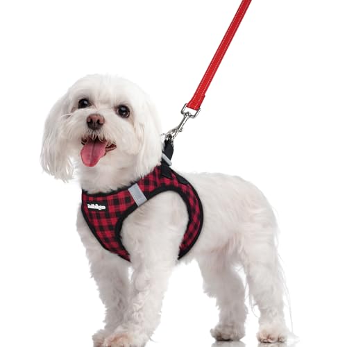 Image of rabbitgoo Dog Harness Medium Sized and Leash Set, Step-in Puppy Pet Vest