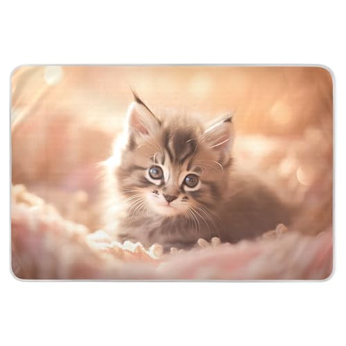 CEBUGI 34” x 52”Washable Underpads Heavy Absorbency Waterproof Incontinence Bed Pads Kitten Pee Pads for Adults Kids and Baby