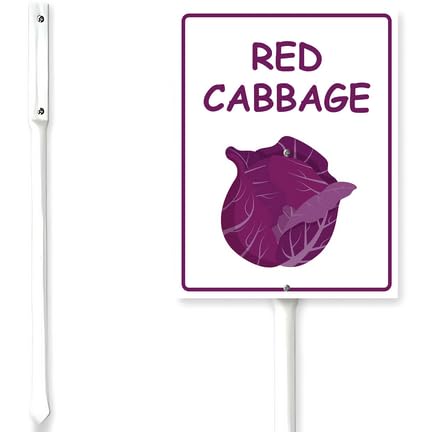 Horienteeon Red Cabbage Sign With Stake Vegetable Garden Marker For Yard Fresh Herb Neighborhood Lawn Rustproof Farm Party Porch Street Wildflowers Outdoor Aluminium Decorations 7x8.8"