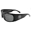 Shiny Black /Smoke Polarized Lens