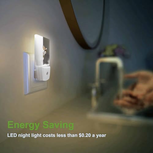 Image of LED Night Light,Curious Cat Hides and Peeps LED Night Light Plug into Wall with Dusk to Dawn Light Sensor White Energy Efficient Nightlight for Bedroom Bathroom Hallway Living Room Kitchen