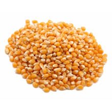 Yellow Popcorn - 20 lb. package, 1 per case