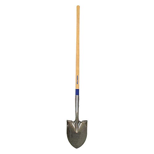 Westward Round Point Shovel, 48 In.Handle, 14 ga. - 1WG31