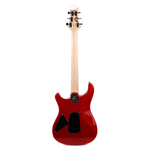 PRS Fiore Amaryliss Guitarra Eléctrica - Les Beatles, Paul McCartney, John Lennon, RIngo Starr, George Harrison PRS Fiore Amaryliss Guitarra Eléctrica – Image 4