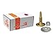 Woodys 18-31120-90 Gold Digger Kit Studs/Backers/Nuts 90/Pk